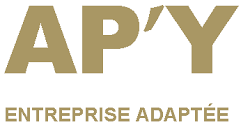 logo_apy – Copie